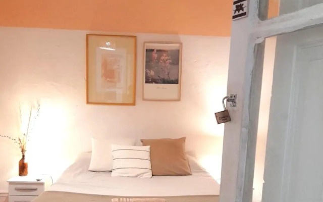 Toca Madera Hostel