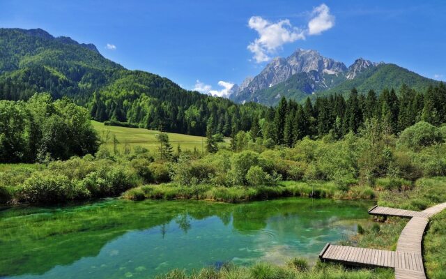 Alpine Chalet Planica With Sauna