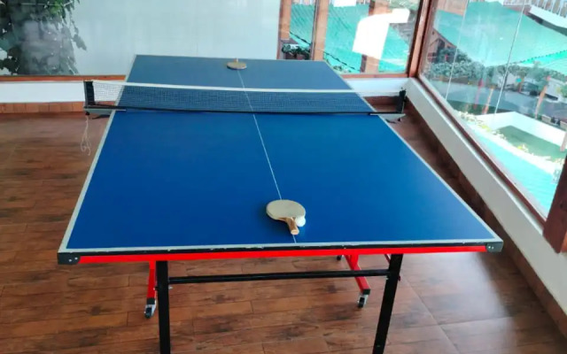 TreeHouse Chail Villas