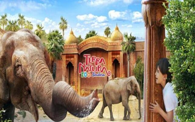 Apartments Zeniamar Zm005