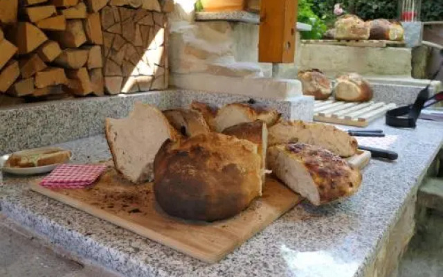 Ferienwohnung Fräulin