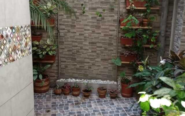 Nora's Laureles