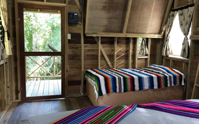 T.R.E.E.S Research Center and Eco Lodge