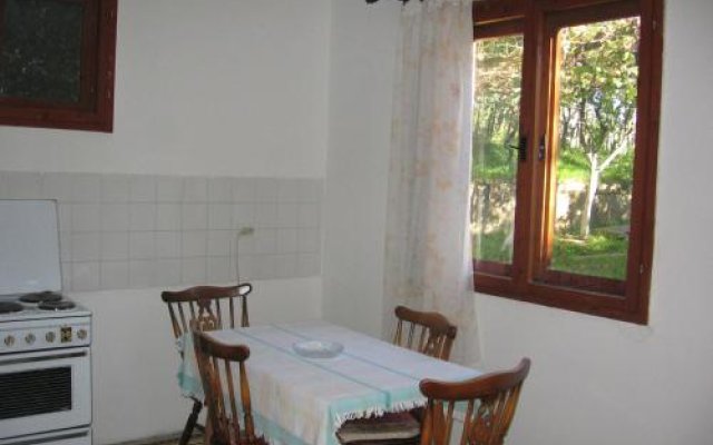 Guest house Pribojska Banja