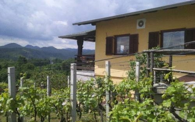 Guesthouse Pavlin