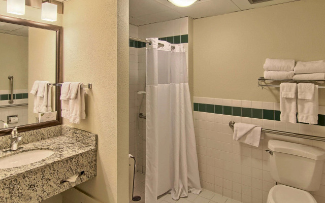 Blossom Hotel & Suites Traverse City