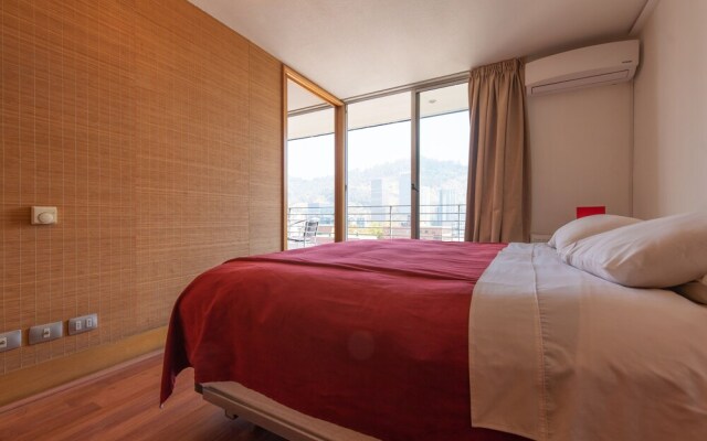 Austral Suites Apartment Providencia
