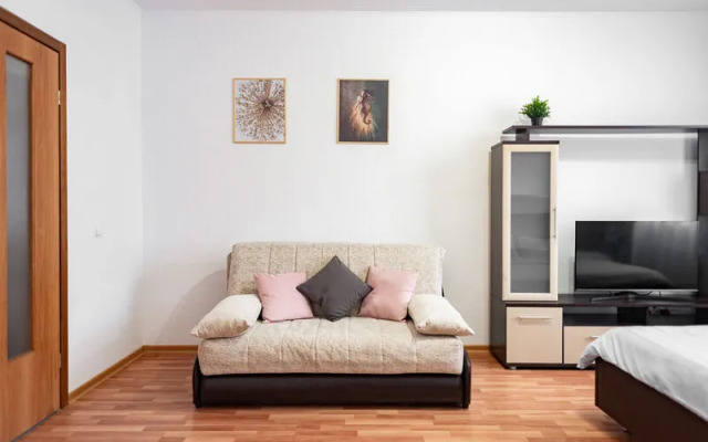 Пашк Инн (PASHk INN) апартаменты на улице Союзная, д. 27