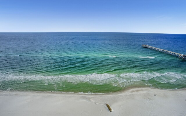 Calypso 2308w - 173962