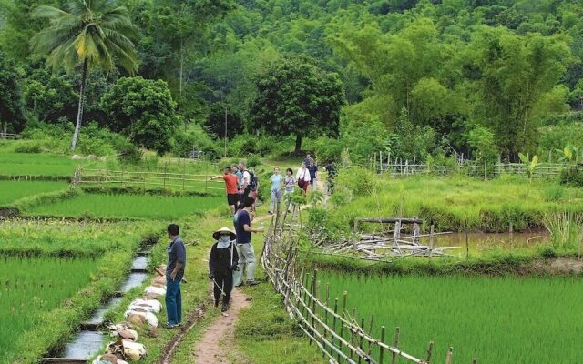 Resort Pù luông Boutique Garden