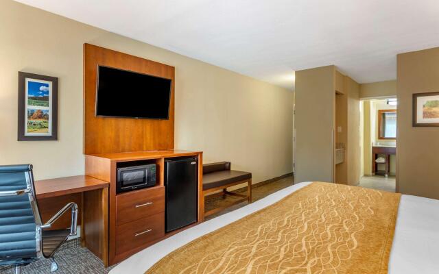 Comfort Inn Petersburg Fort Lee Area