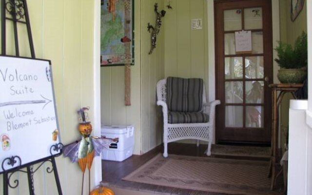 Volcano Fern Forest Retreat