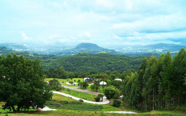 Stillo Gramado Linha Bonita