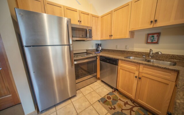 Buffalo Lodge 8419 by SummitCove Vacation Lodging