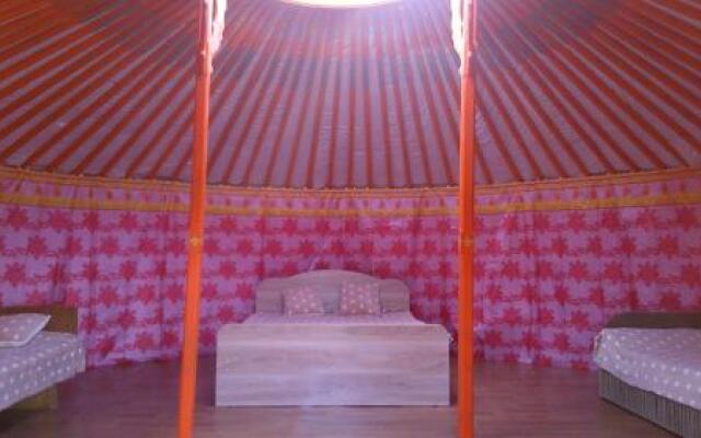 Yurt camping