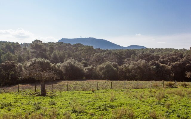 Hotel Agroturismo Possessió Binicomprat