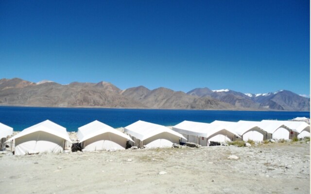 Royal Camp - Pangong