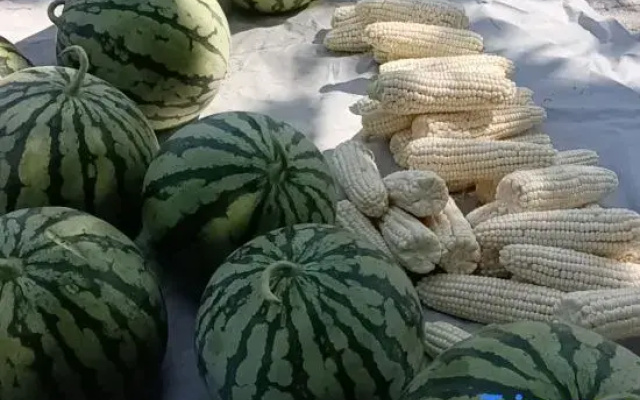wenzebingguan