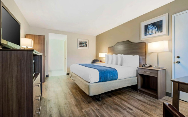 Riviera Hotel South Beach