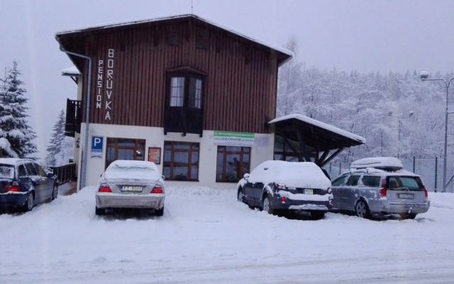 Pension Borůvka