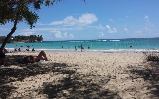 Residence Palm Beach