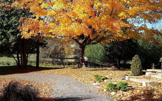 Windsong Manor Bed & Breakfast