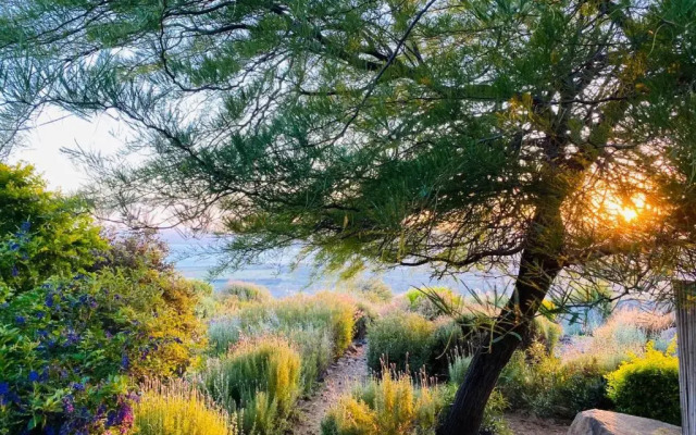 Island of Green