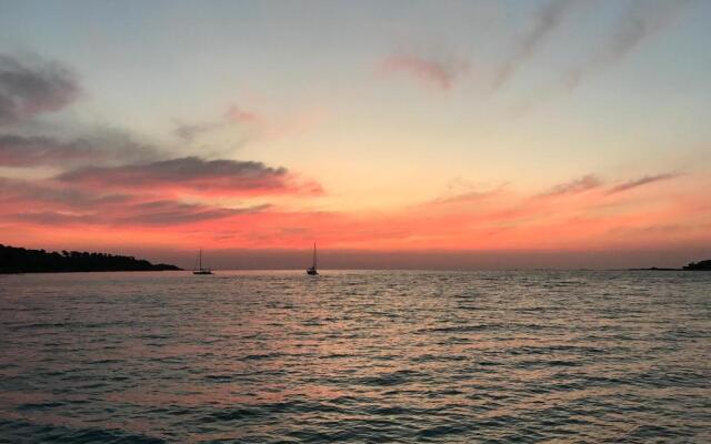 Cannes Catamaran and Special Events