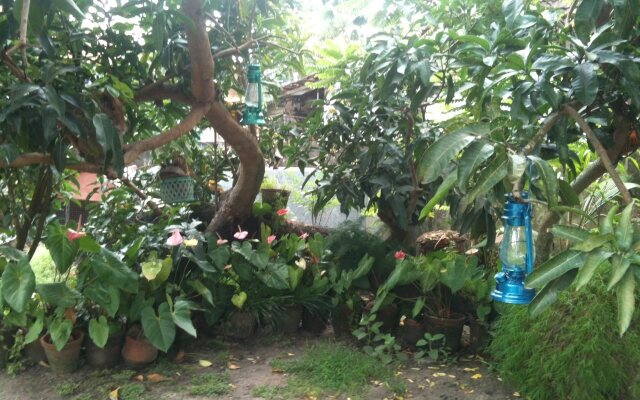 Francis Homestay