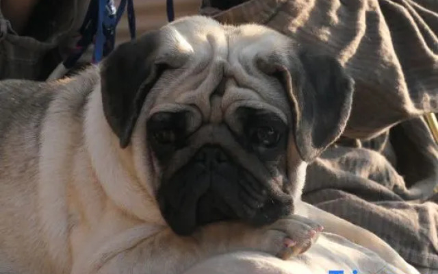 Xingyi Yunqi No.1 Inn (Xia Nahui Branch, Wanfenglin Scenic Area)