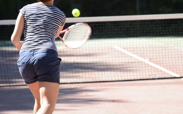 Semi-detached Bungalow With Microwave, in the Great Vendée