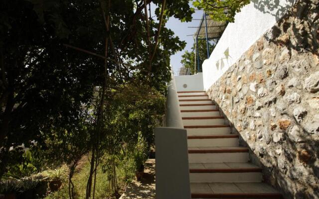 Butterfly View House