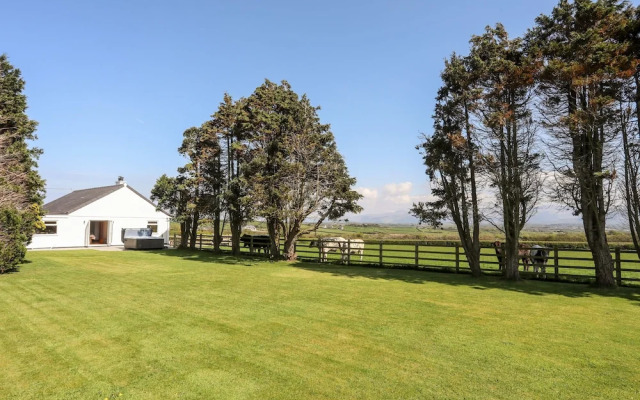 Mynydd Mwyn