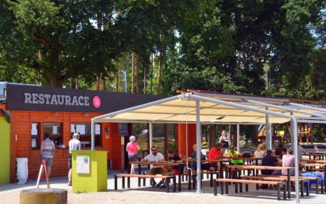 Kemp stříbrný rybník