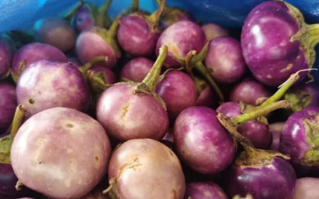 Phoenix Perches Reserve Villa