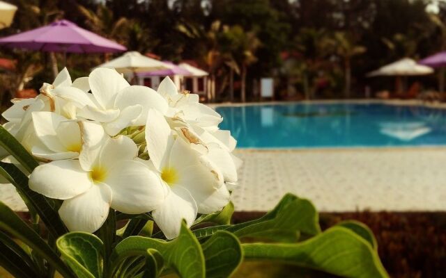 Saint Mary Resort