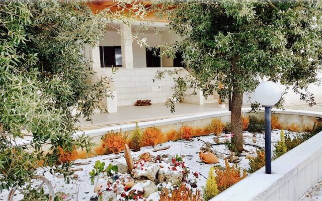 Villa Wonder