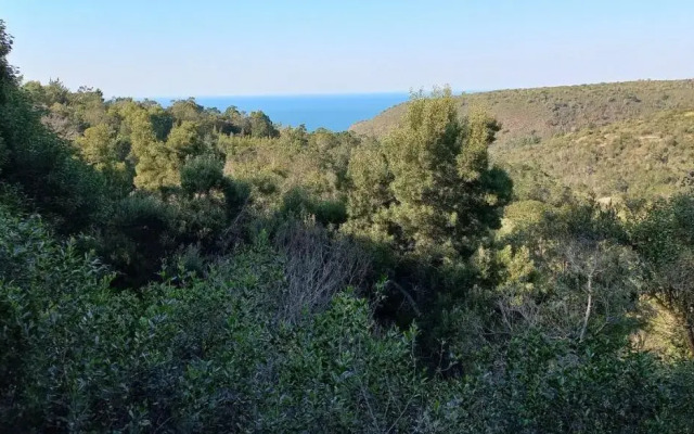 Oriole Serene Self Catering Studio