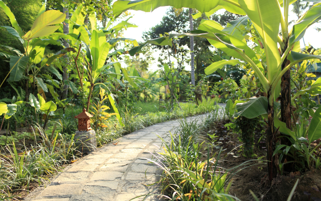 ZEN Rooms Jukut Paku Village