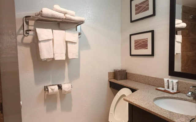 Country Inn & Suites By Radisson, Battle Creek, MI