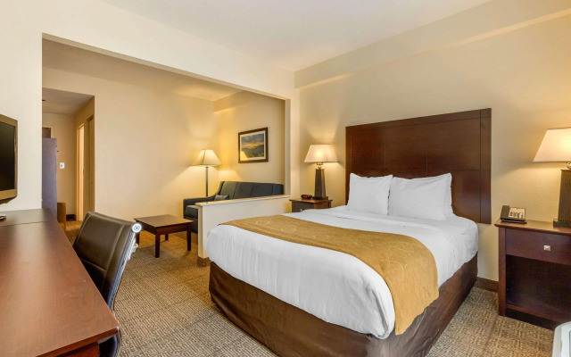 Comfort Suites Gastonia - Charlotte