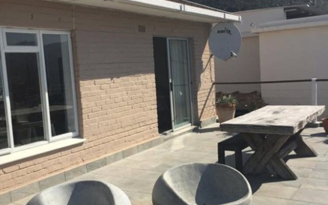 Watching Waves Heron Chase