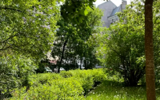 Апартаменты на линии 13-я Васильевского острова