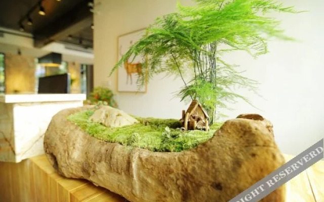Mood Club Theme Holiday Hostel