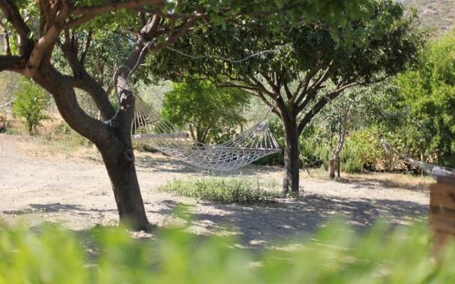 Serenity Pension