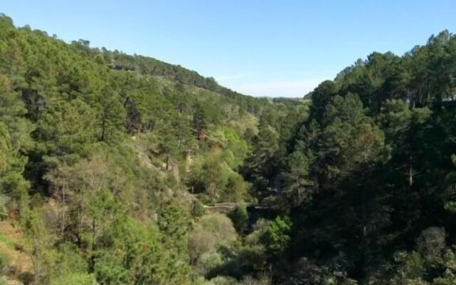 La Huerta - VuT AV187- para 10 personas