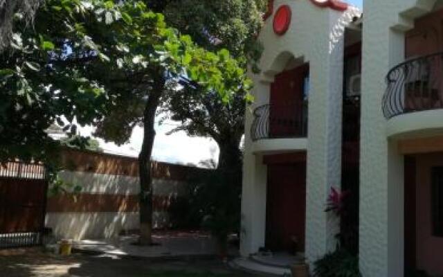 Casa "Flaschenbaum"