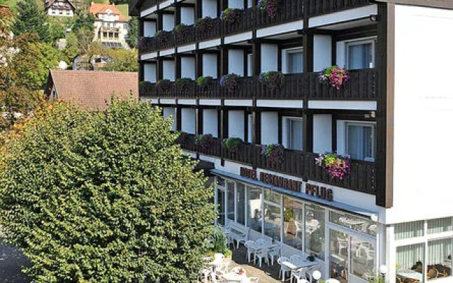 Hotel Pflug Ottenhöfen i. Schw.
