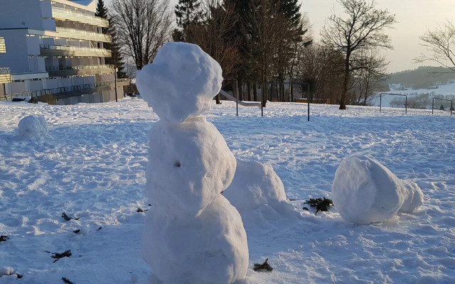 Wald Apartments im Predigtstuhl Resort