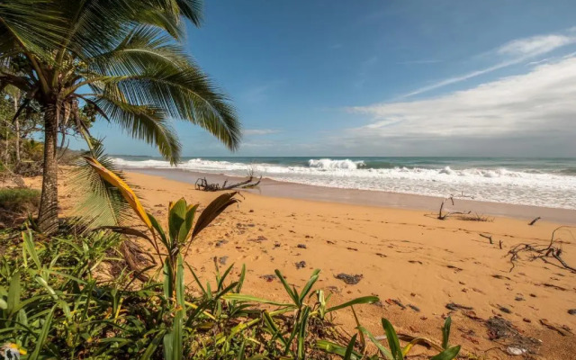 Bocas Condos Rentals